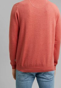 Korallfarbener Baumwollpullover mit Rundhalsausschnitt, gerippten Bündchen und Saum; glatte Textur; mit Etikett an der linken Seitennaht. Getragen mit hellblauen Jeans.