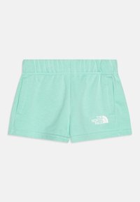 Pantalones cortos verde menta de tela suave, con una cintura elástica, dos bolsillos laterales y un logo blanco en la parte inferior derecha.