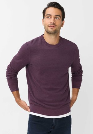 Mand iført en lilla langærmet sweater og mørke bukser står med hænderne i siden og kigger let op mod højre.