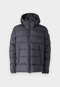 BORIS - Winterjas - grey