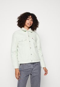 Giacca di jeans verde menta con colletto in sherpa, chiusura frontale con bottoni e due tasche sul petto. Indossata con pantaloni grigi.