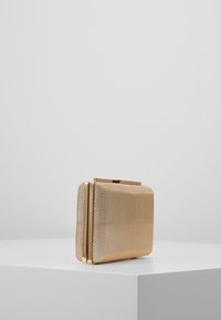 Clutch bag metallica dorata con esterno a rete testurizzata, forma rettangolare, chiusura in metallo dorato e leggera lucentezza.