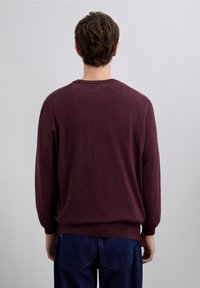 Pulover vișiniu cu mâneci lungi și mansete și tiv cu dungi, realizat dintr-un material moale, prezentat din spate pe un fundal neutru.