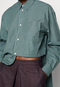 Camicia cropped a maniche lunghe in teal con righe bianche verticali, dotata di taschino sul petto e colletto classico. Tessuto morbido e design strutturato.