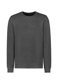 Cars Jeans SAMIE CREWNECK BOTTLE - Sweater - antra