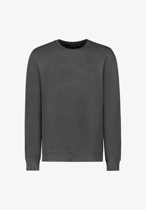 Cars Jeans SAMIE CREWNECK BOTTLE - Sweatshirt - antra