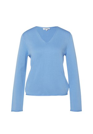 Lichtblauwe trui met lange mouwen en V-hals, effen ontwerp en geribbelde randen aan mouwen en zoom.