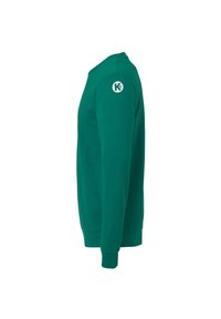 Grøn sweatshirt med lange ærmer, rund halsudskæring, ribbede manchetter og kant. Har et lille logo på venstre skulder. Glat tekstur.