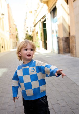 Next, REGULAR FIT - KNITTED CREW NECK JUMPER . - Trui - blue checkerboard