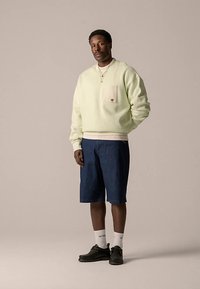 Man staat, draagt een lichtgroene trui, donkerblauwe knielange korte broek, witte sokken en zwarte schoenen tegen een effen achtergrond.