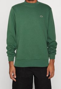 Felpa verde realizzata in morbido tessuto, con scollo rotondo, maniche lunghe e un piccolo logo ricamato sul petto. Design semplice e classico.