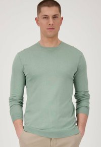 Maglione a maglia verde chiaro con maniche lunghe, scollatura arrotondata, polsini e orlo a coste, design aderente, texture morbida e stile minimalista.