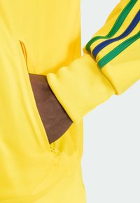 Felpa gialla con cappuccio e tasca con zip, caratterizzata da polsini a coste e tre strisce verdi e blu sulla manica. Texture liscia.