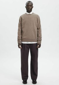 Brauner Wollpullover mit rundem Ausschnitt, getragen über einem weißen Hemd mit Kragen, kombiniert mit dunkelvioletten, weit geschnittenen Hosen und schwarzen Schuhen.