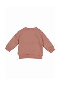 Sweatshirt in cotone rosa con maniche lunghe, polsini a costine e scollatura rotonda. Design semplice, senza motivi o loghi visibili.