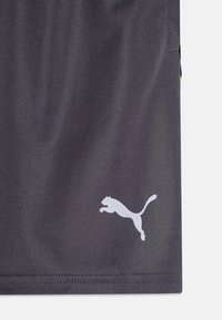 Tummanharmaat urheilushortsit, joissa on sileä pinta ja valkoinen hyppäävän puman logo vasemmassa alareunassa. Yksinkertainen muotoilu, minimalistiset yksityiskohdat.