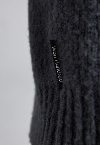 Won Hundred RYDER - Strickpullover - ebony