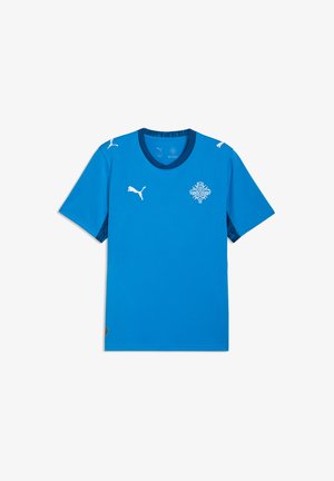 Blå fodboldtrøje lavet af syntetisk stof med rund halsudskæring, korte ærmer og hvide logoaccenter på skuldrene og brystet.