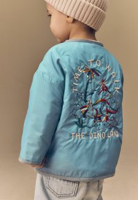 Ljusblå vadderad jacka med broderade dinosaurier och text på baksidan, med ribbad krage och strukturerad tyg. Bärs med jeans.