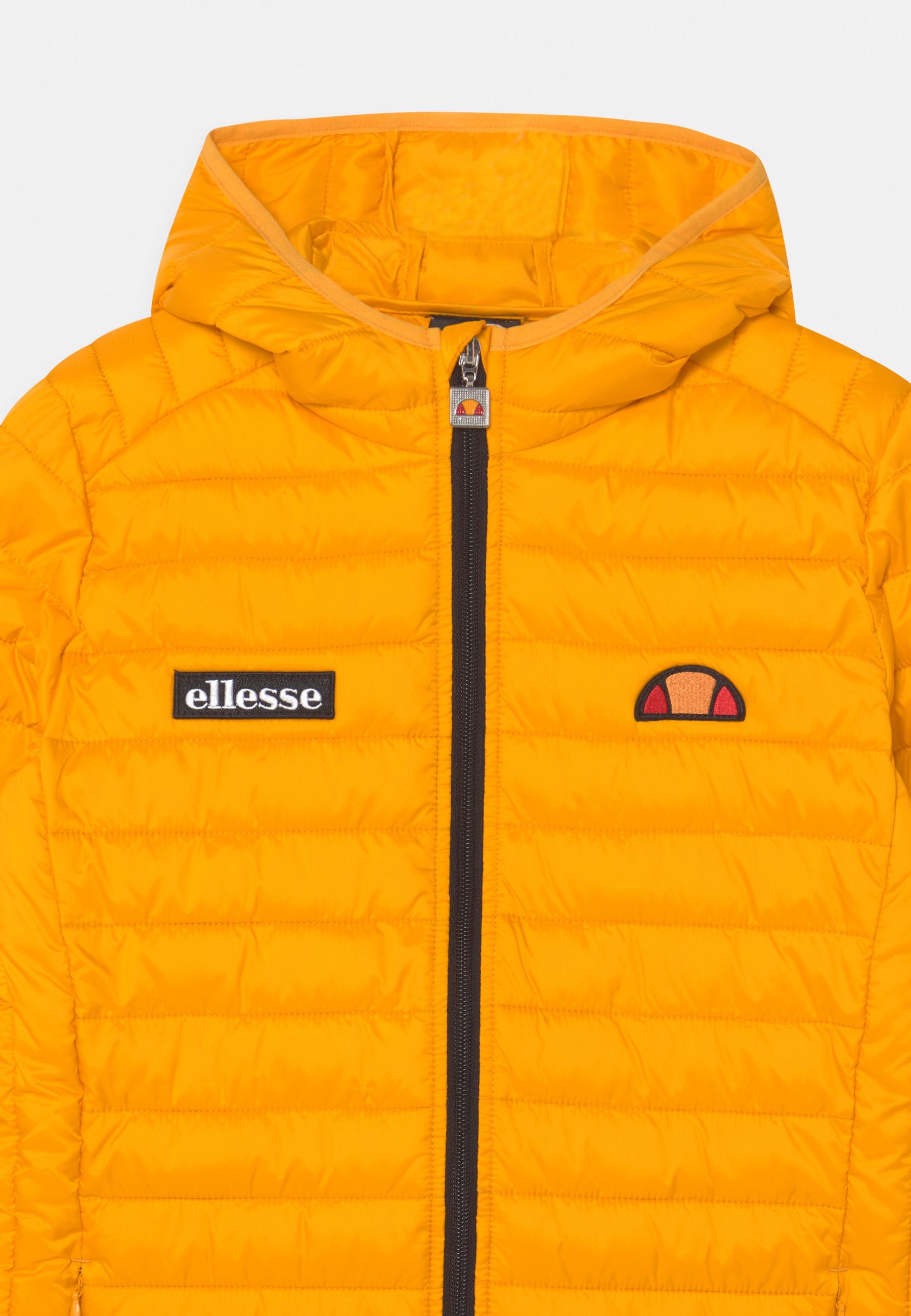 Ellesse REGALIO - Winter jacket 