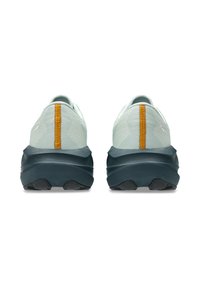 ASICS NOVABLAST 5 TR - Trail running shoes - nature bathing   lichen rock