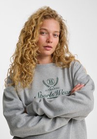 Sudadera gris de manga larga, con puños acanalados y cuello redondo. Presenta el logotipo en texto verde "AUTHENTIC SportsWear" con acentos decorativos.