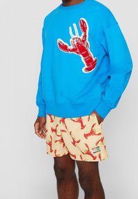 Tommy Hilfiger Felpa - blue