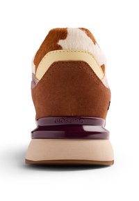 Baskets basses en daim marron et motif crème avec un arrière texturé, dotées d'une semelle en caoutchouc violette et du logo Gioseppo.