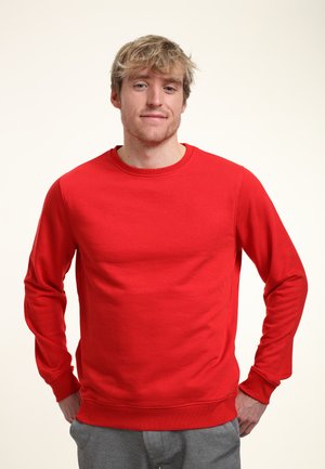 REGULAR FIT CREWNECK - Sweater - red