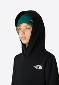 Hanorac negru cu glugă mare, având un logo alb pe piept. Sub glugă este purtată o căciulă verde din tricot.