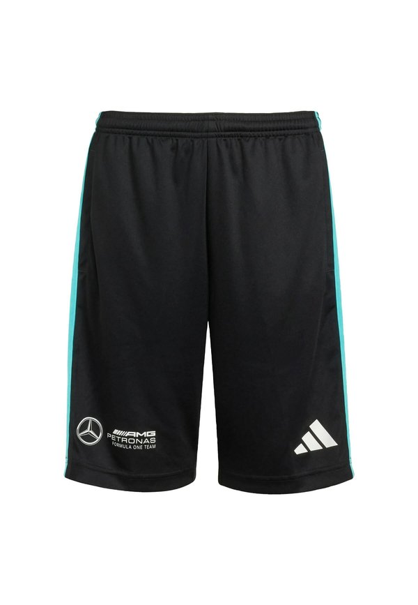 MERCEDES - AMG PETRONAS FORMULA ONE TEAM DNA SHORT YOUTH - Tracksuit bottoms