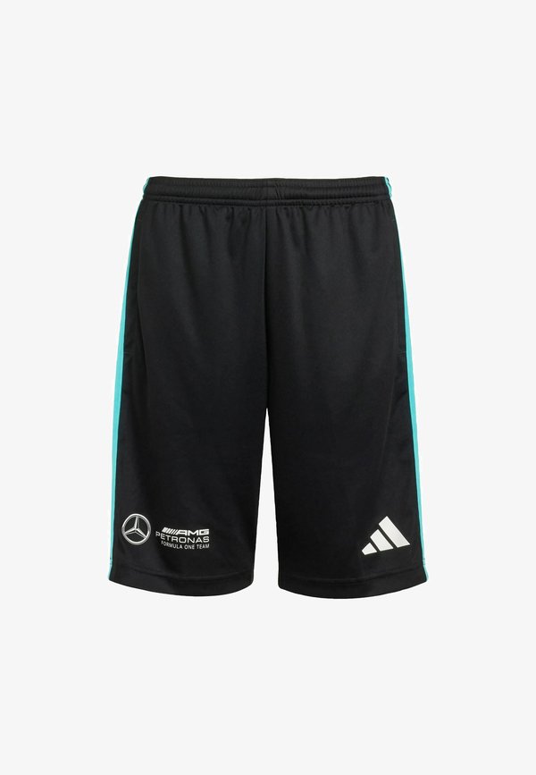 MERCEDES - AMG PETRONAS FORMULA ONE TEAM DNA SHORT YOUTH - Tracksuit bottoms