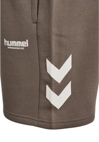 Bruna sportshorts av mjukt tyg med vita chevronmönster på sidan och "hummel"-logotyp i vit text.