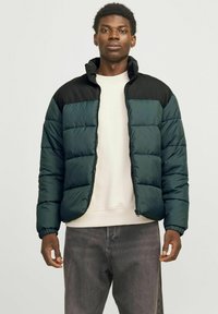 Jack & Jones JJMOON PUFFER - Ziemas jaka - magical forest