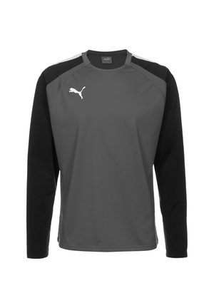 Langärmige sportshirt in grijs met zwarte mouwen, gemaakt van gladde stof. Bevat een wit Puma-logo op de borst.