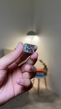 Wasted Paris UNISEX CREST SIGNET - Sormus - silver-coloured