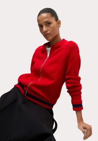 Maglione zip-up rosso con orlo e polsini a coste, caratterizzato da dettagli blu. Tessuto a maglia morbido e vestibilità rilassata, indossato sopra una camicia bianca.