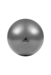 Silberner Adidas Trainingsball mit glattem, metallic glänzendem Finish, zentral mit einem schwarzen Logo versehen. Runde Form, keine sichtbaren Muster oder Akzente.