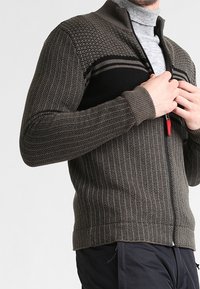 Mężczyzna noszący brązowy sweter z teksturowanym splotem i czarnymi poziomymi paskami, poprawiający zamek błyskawiczny nad jasnoszarym golfem.