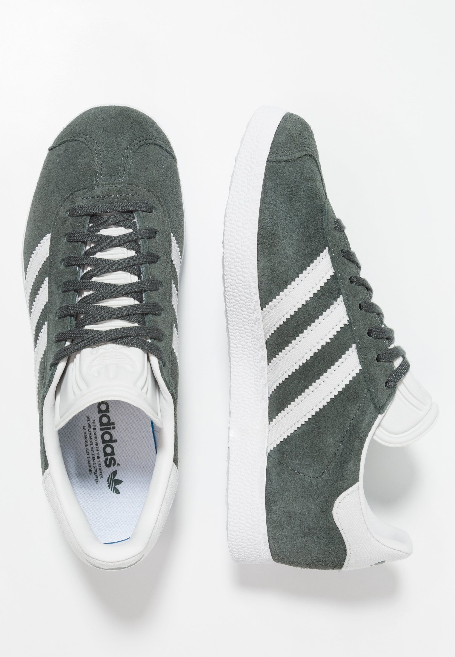 gazelle legend ivy