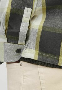 Camicia a quadri con strisce verdi, gialle e grigie, caratterizzata da un polsino con bottone e orlo a costine, abbinata a pantaloni di colore chiaro.