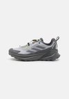 TERREX TRAILMAKER 2 GORE-TEX X NATGEO - Fjellsko - halo silver/grey four/grey six
