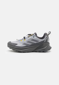 Adidas Terrex TERREX TRAILMAKER 2 GORE-TEX X NATGEO - Fjellsko - halo silver/grey four/grey six