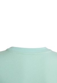 Lichtgroene sweatshirt met een ronde halslijn. Gemaakt van een zachte, geweven stof met een eenvoudig ontwerp en zichtbare stikdetails op de kraag.