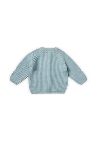 Maglione lavorato a maglia di un blu chiaro con una texture a coste, maniche raglan e scollatura rotonda. La vista posteriore mostra una vestibilità comoda e ampia.
