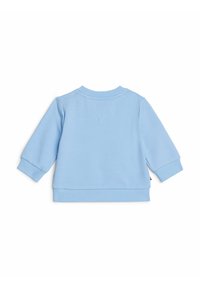 Felpa azzurra chiara con maniche lunghe, colletto rotondo, polsini e vita a costine. Tessuto di cotone morbido con un design semplice e senza motivi visibili.