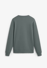 Felpa girocollo in verde tenue con collo classico, polsini e orlo a costine, caratterizzata da una texture liscia e un design semplice.