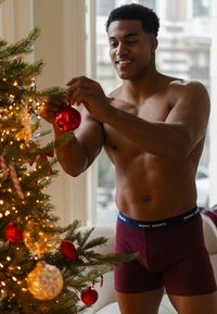 Rode en gouden versieringen hangen aan een groene kerstboom. Een man in kastanjebruine boxershorts past een rode versiering aan, waarop een marineblauwe band met de tekst "HAPPY SHORTS" te zien is.