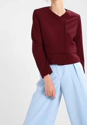 Woman wearing a dark red, long-sleeve cropped jacket with light blue high-waisted wide-leg trousers, standing against a plain background.