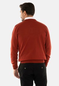 Maglione lavorato a maglia di colore ruggine con orlo e polsini a coste, indossato sopra una camicia con colletto bianco. Pantaloni neri visibili in fondo.
